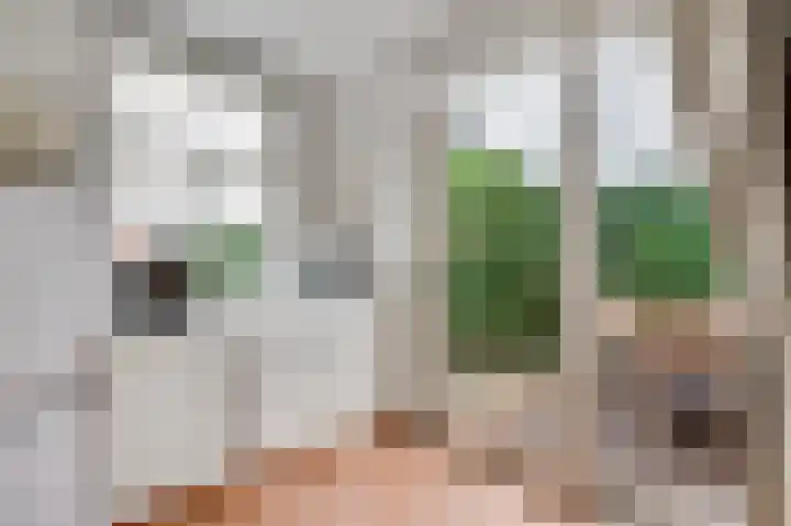 Neerhem 111 A Valkenburg thumbnail 11