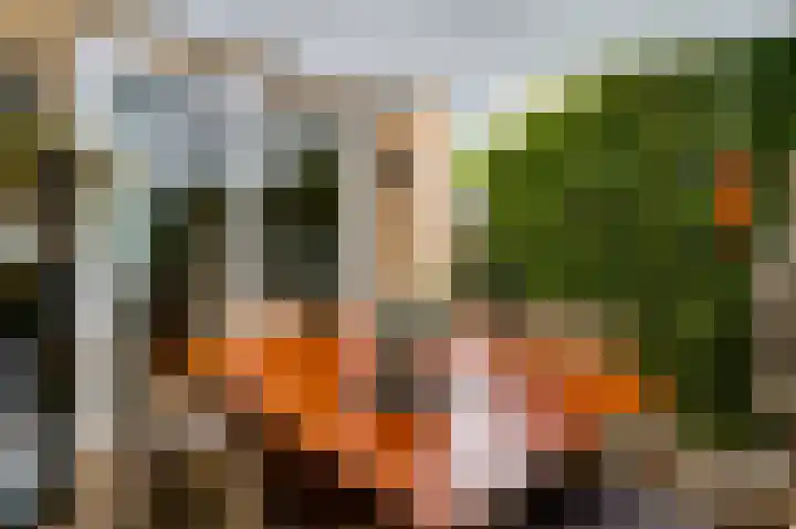 Neerhem 111 A Valkenburg thumbnail 13