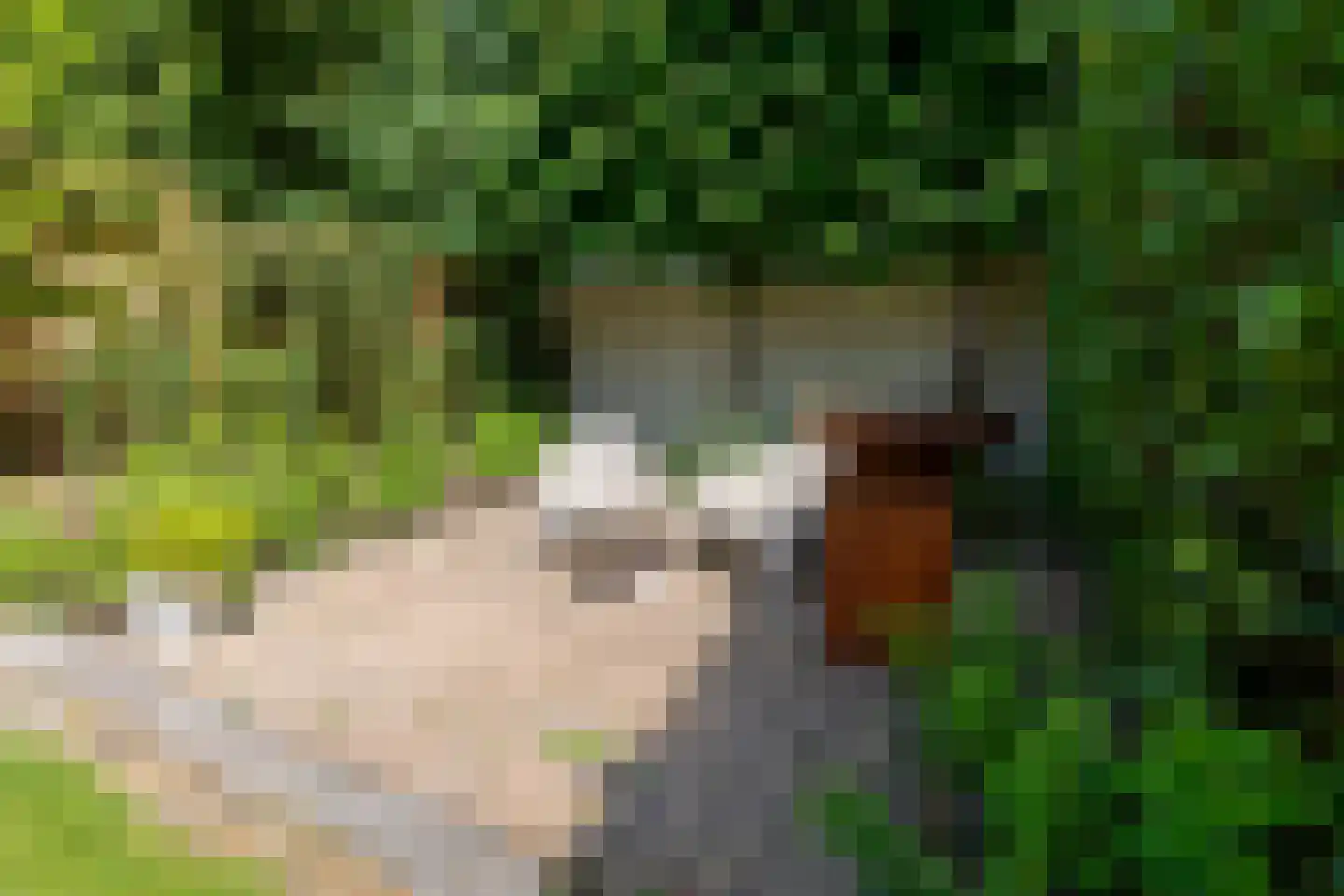 Neerhem 49 Valkenburg thumbnail 29