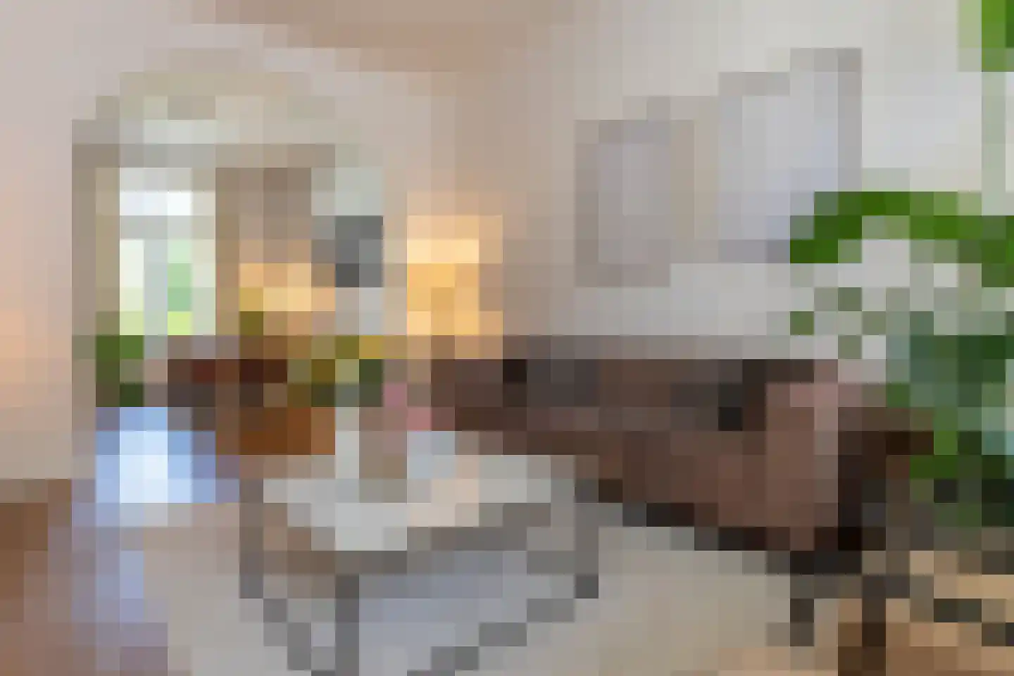 Neerhem 49 Valkenburg thumbnail 4