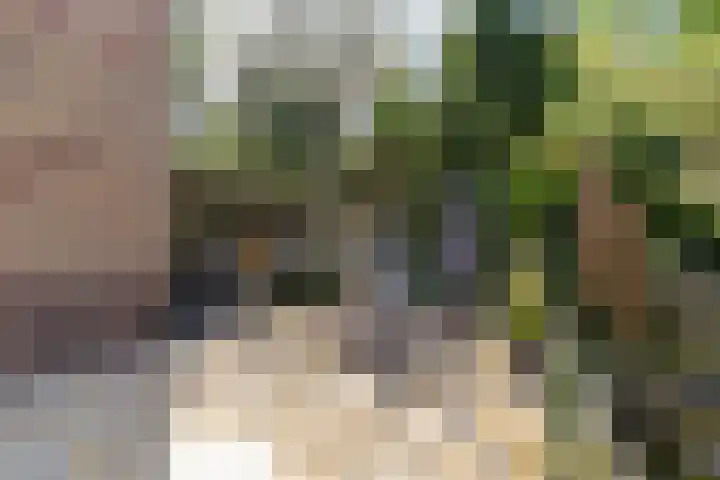 Neerhem 64 Valkenburg thumbnail 44