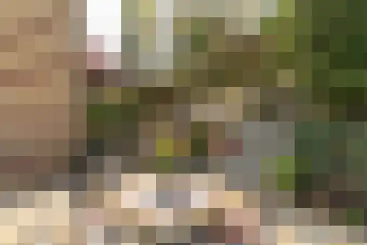 Neerhem 64 Valkenburg thumbnail 45