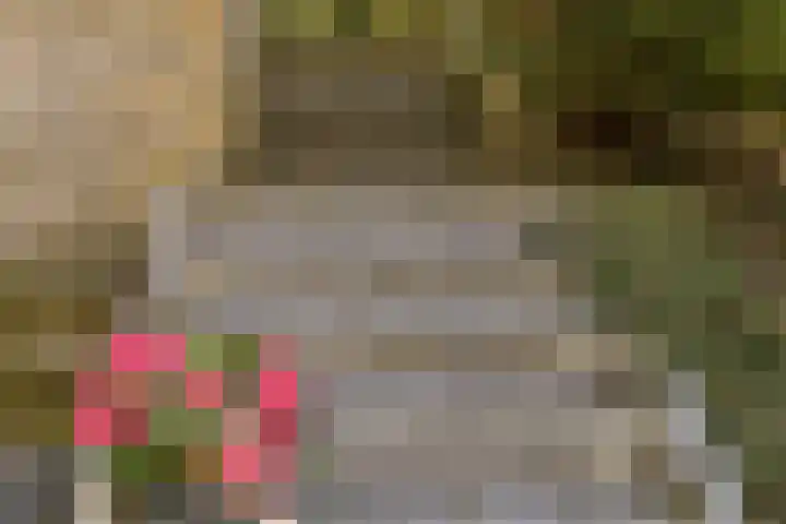 Neerhem 64 Valkenburg thumbnail 46