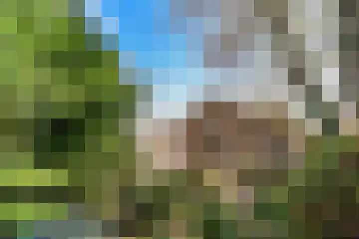 Neerhem 64 Valkenburg thumbnail 47