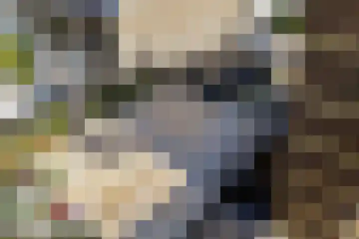 Neerhem 64 Valkenburg thumbnail 48