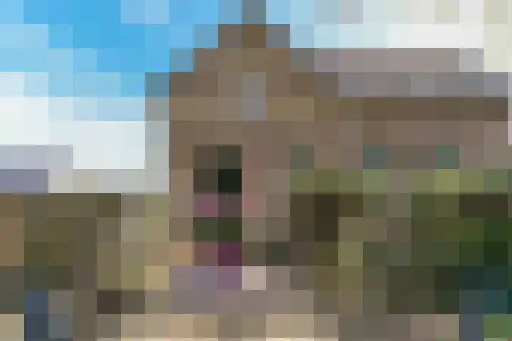 Neerhem 64 Valkenburg thumbnail 49