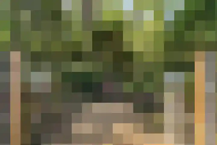 Neerhem 64 Valkenburg thumbnail 50