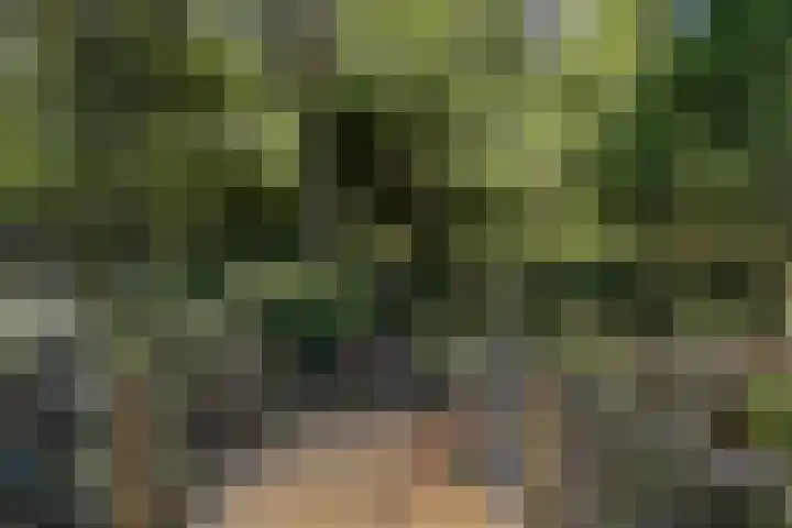 Neerhem 64 Valkenburg thumbnail 51