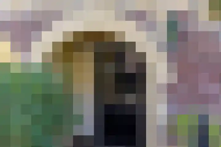Neerhem 64 Valkenburg thumbnail 6