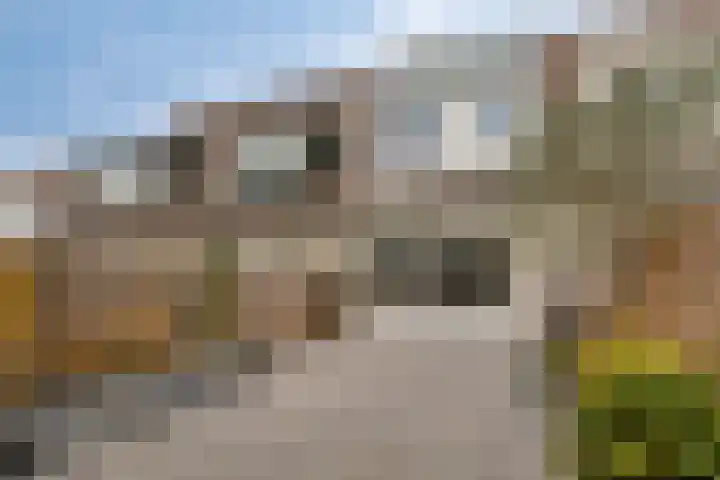 Neerhof 13 Almere thumbnail 27