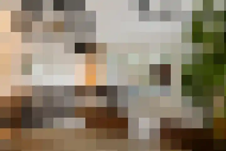 Neerhof 13 Almere thumbnail 7