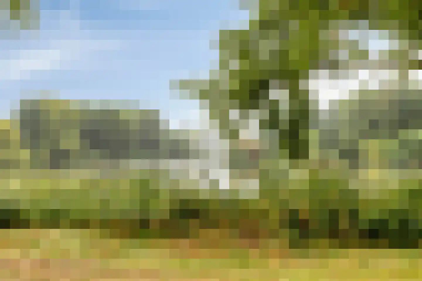 Neerhof 21 Almere thumbnail 47
