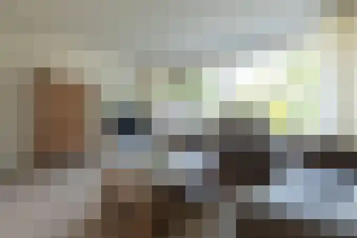 Neerijnen 1 Barneveld thumbnail 10