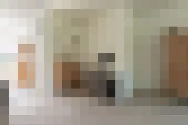 Neerijnen 1 Barneveld thumbnail 14