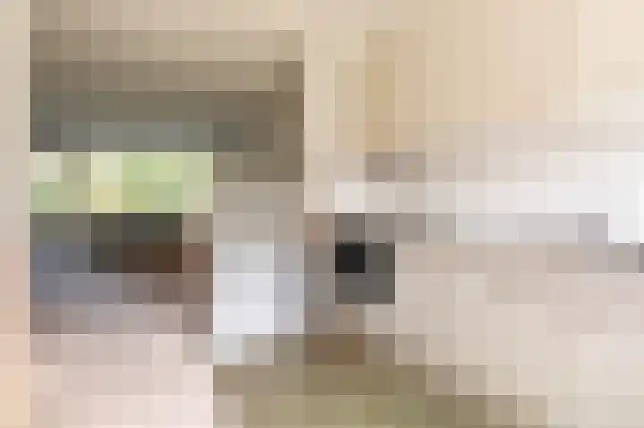 Neerijnen 1 Barneveld thumbnail 16