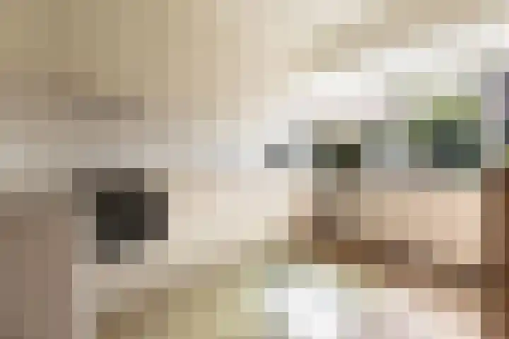 Neerijnen 1 Barneveld thumbnail 17