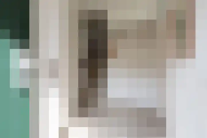 Neerijnen 1 Barneveld thumbnail 18