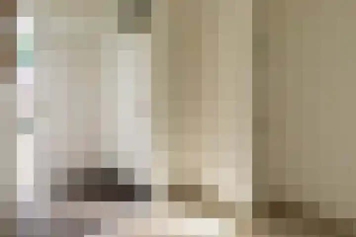Neerijnen 1 Barneveld thumbnail 19