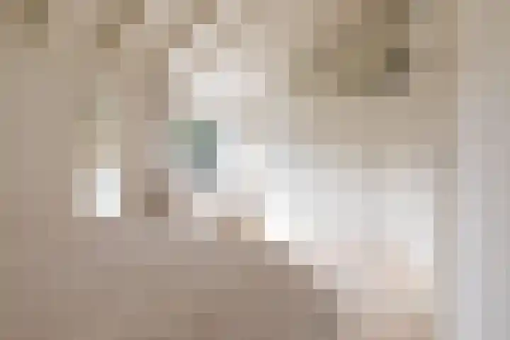 Neerijnen 1 Barneveld thumbnail 22