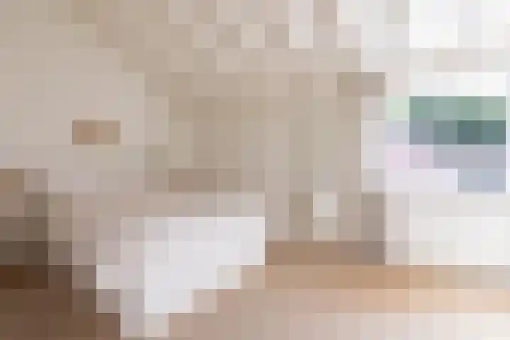 Neerijnen 1 Barneveld thumbnail 23