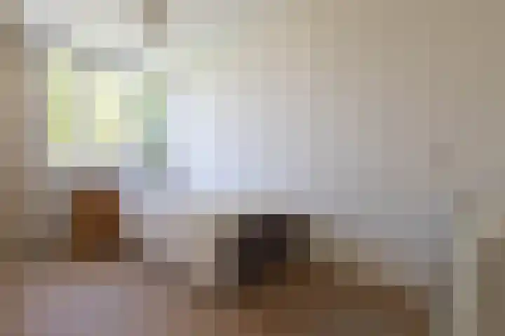Neerijnen 1 Barneveld thumbnail 24