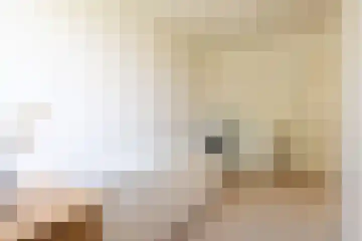 Neerijnen 1 Barneveld thumbnail 25