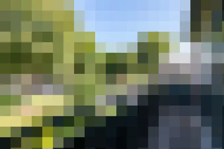 Neerijnen 1 Barneveld thumbnail 26