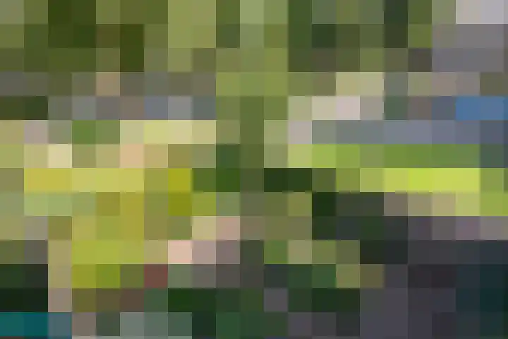 Neerijnen 1 Barneveld thumbnail 27