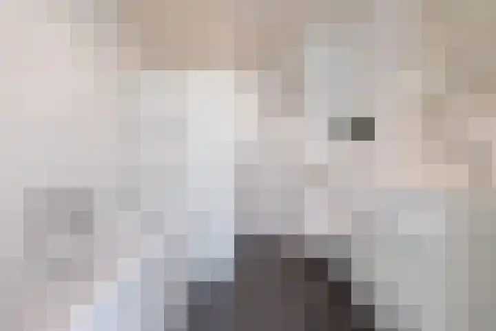 Neerijnen 1 Barneveld thumbnail 29