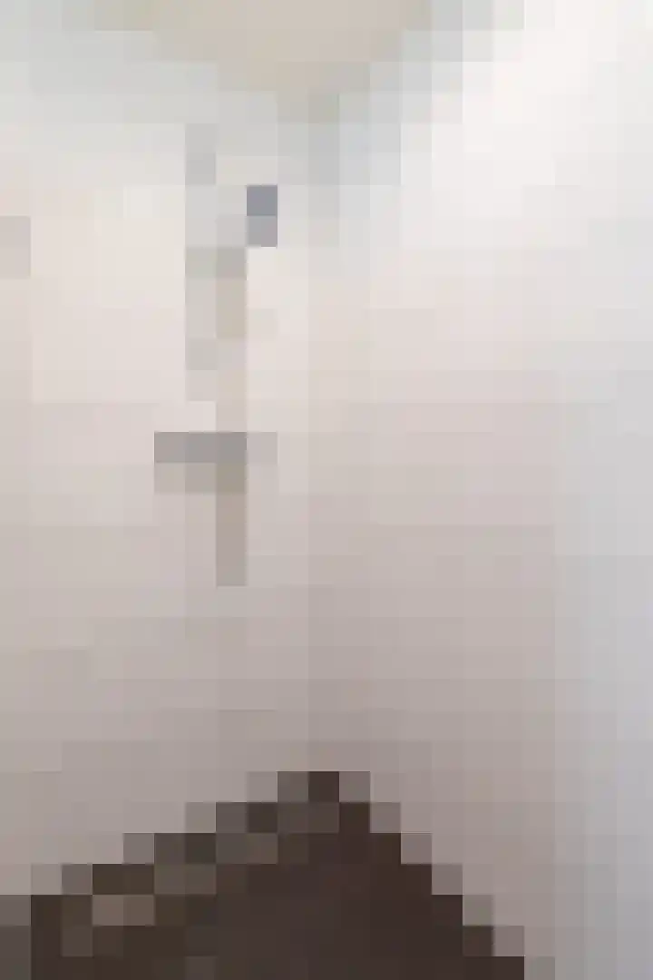 Neerijnen 1 Barneveld thumbnail 30