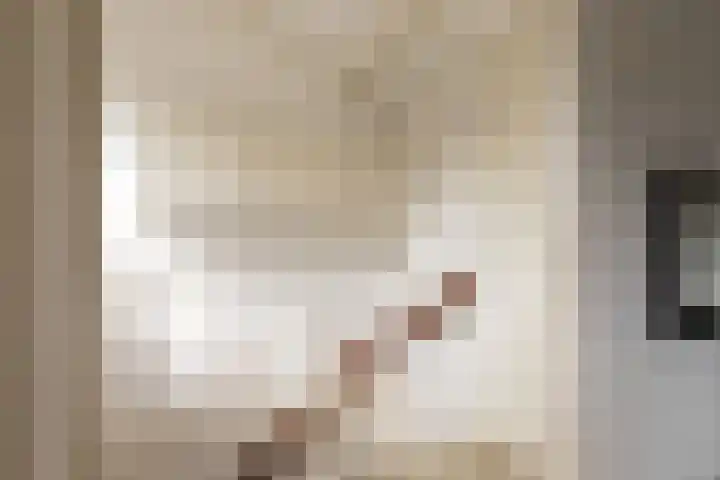 Neerijnen 1 Barneveld thumbnail 32
