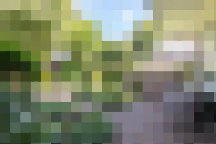 Neerijnen 1 Barneveld thumbnail 35