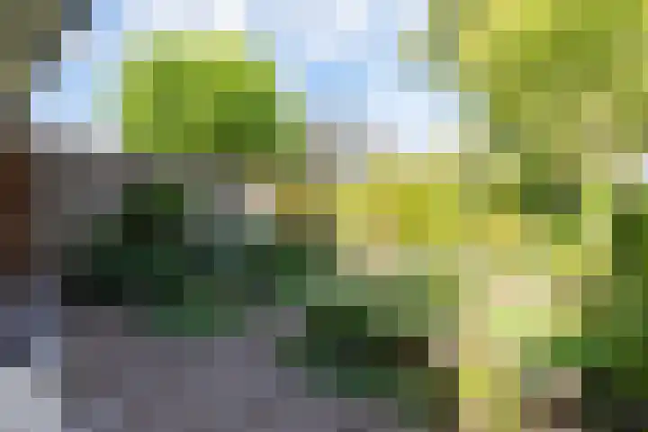 Neerijnen 1 Barneveld thumbnail 36