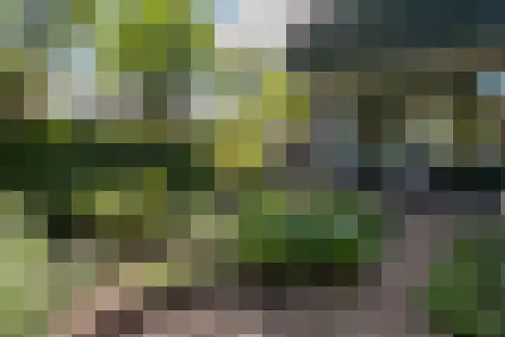 Neerijnen 1 Barneveld thumbnail 37