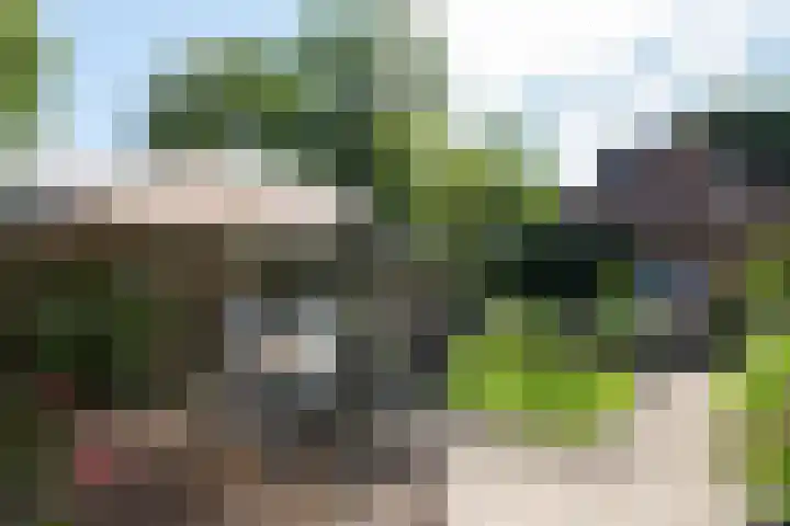 Neerijnen 1 Barneveld thumbnail 38