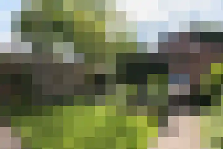 Neerijnen 1 Barneveld thumbnail 39