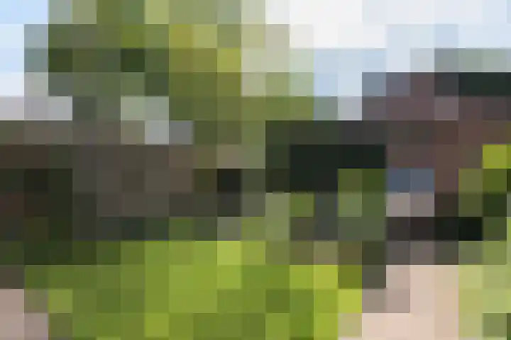 Neerijnen 1 Barneveld thumbnail 4