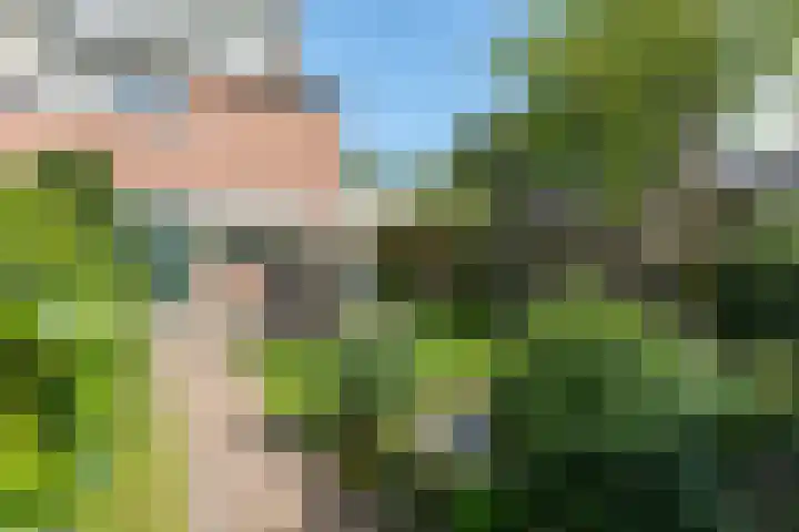Neerijnen 1 Barneveld thumbnail 40