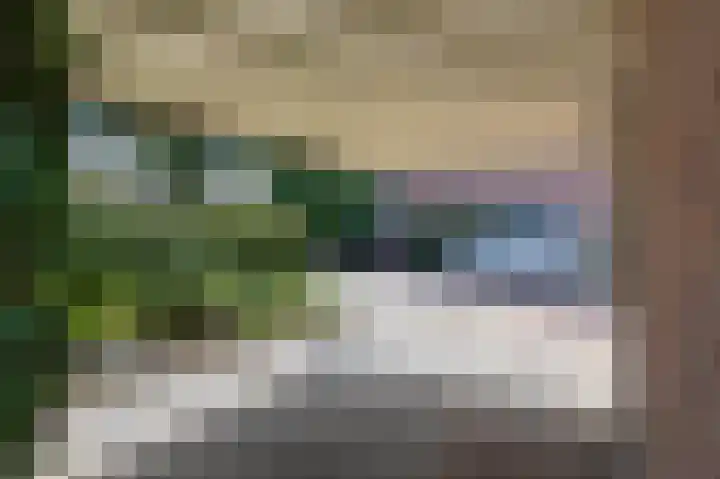 Neerijnen 1 Barneveld thumbnail 41