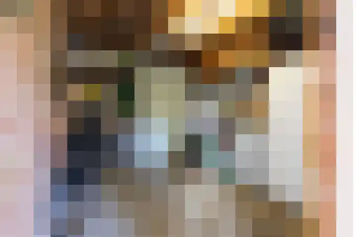 Neerijnen 1 Barneveld thumbnail 42