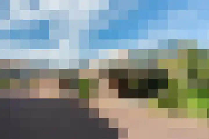 Neerijnen 1 Barneveld thumbnail 6