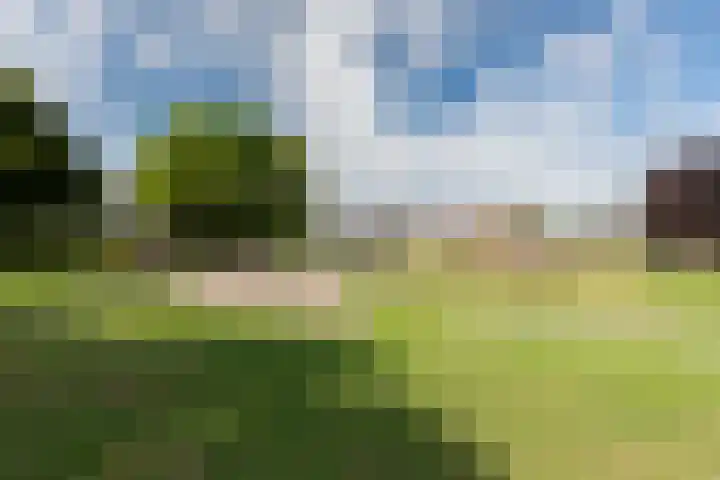 Neerijnen 1 Barneveld thumbnail 8