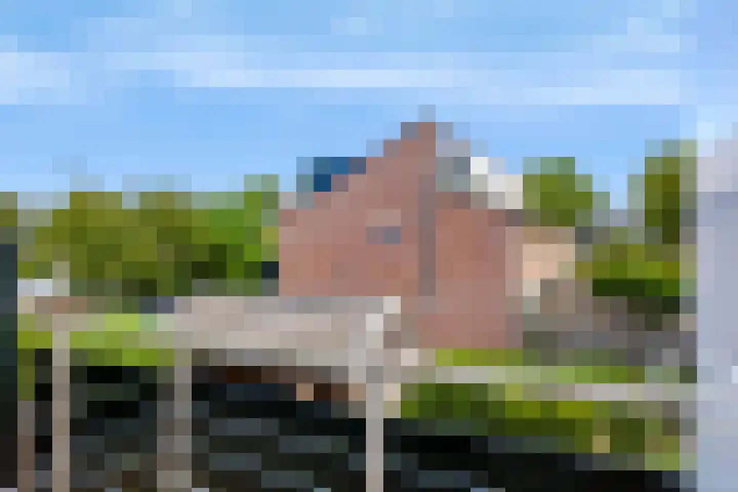 Neerijnen 10 Barneveld thumbnail 19