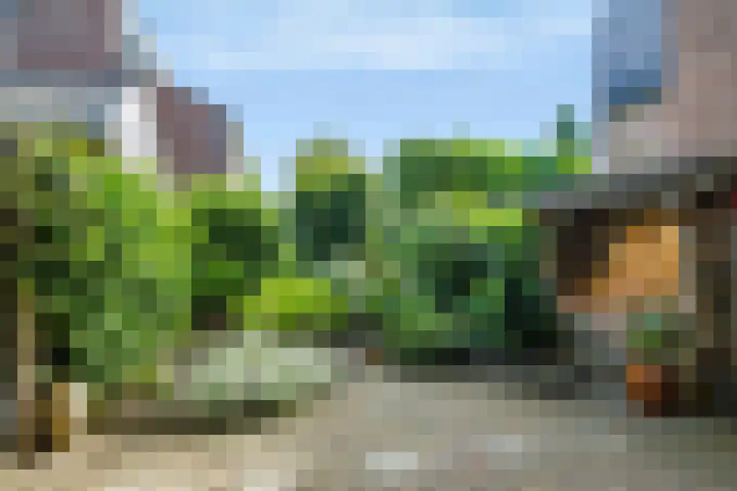 Neerijnen 10 Barneveld thumbnail 31