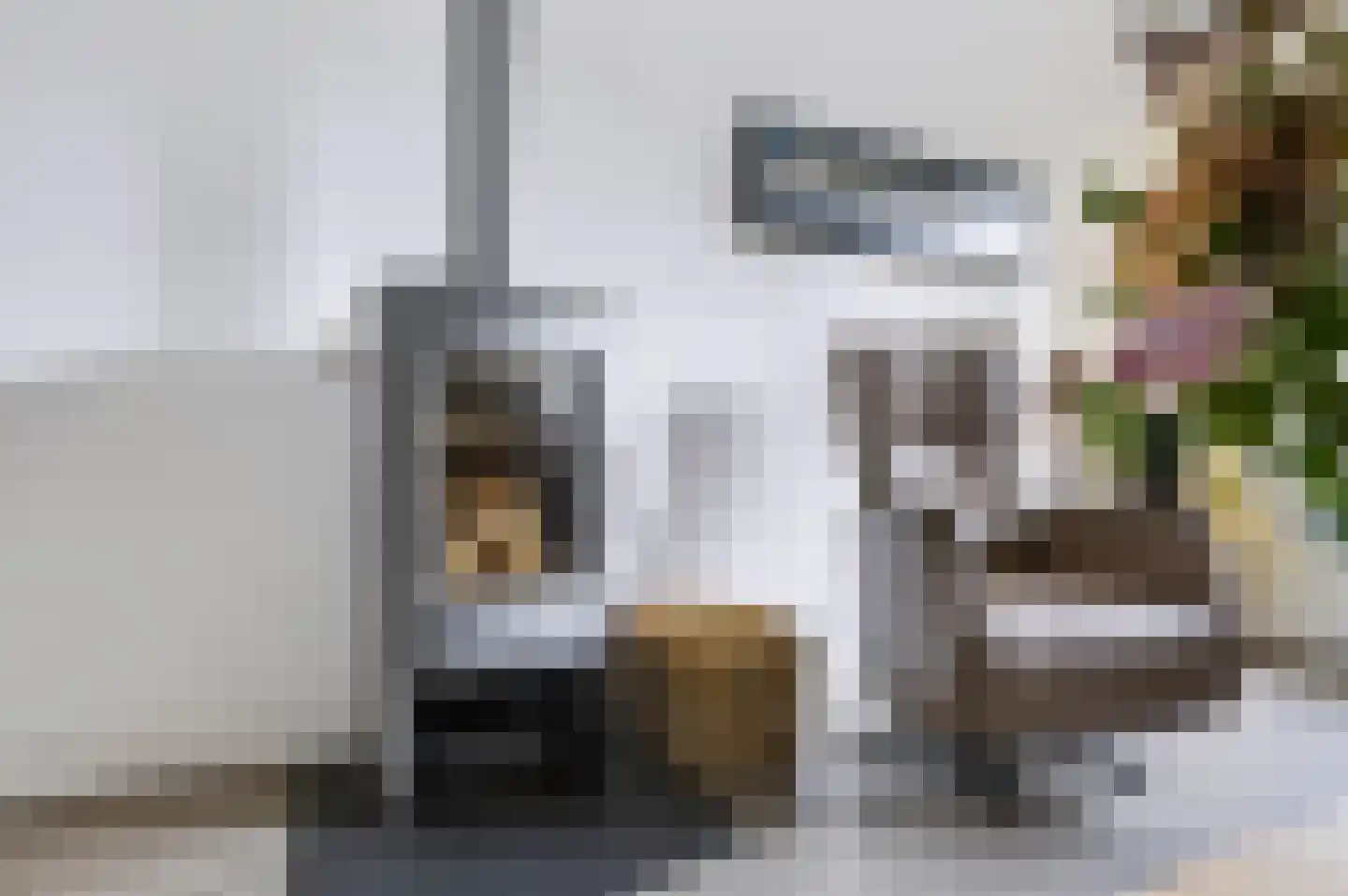 Neerijnen 10 Barneveld thumbnail 6