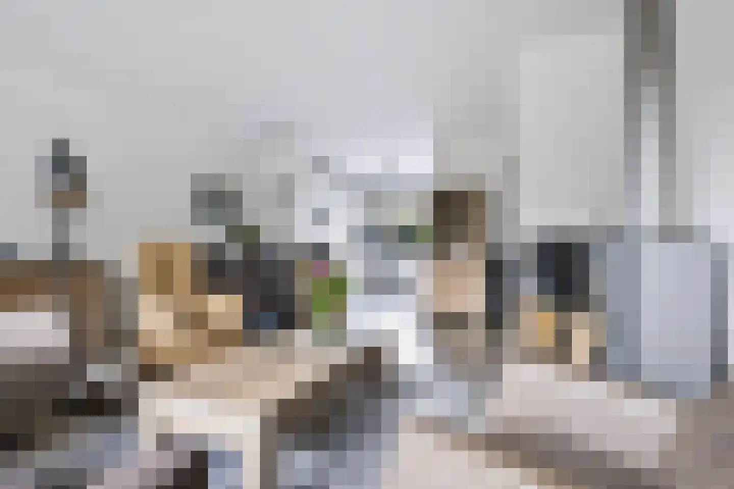 Neerijnen 10 Barneveld thumbnail 8