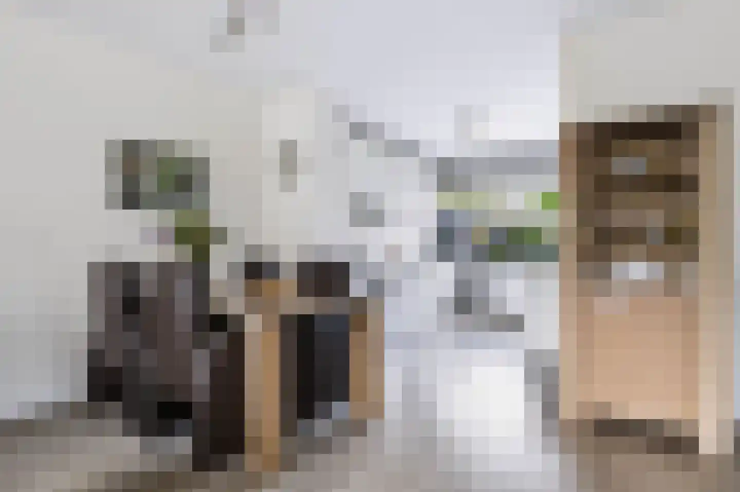Neerijnen 10 Barneveld thumbnail 9
