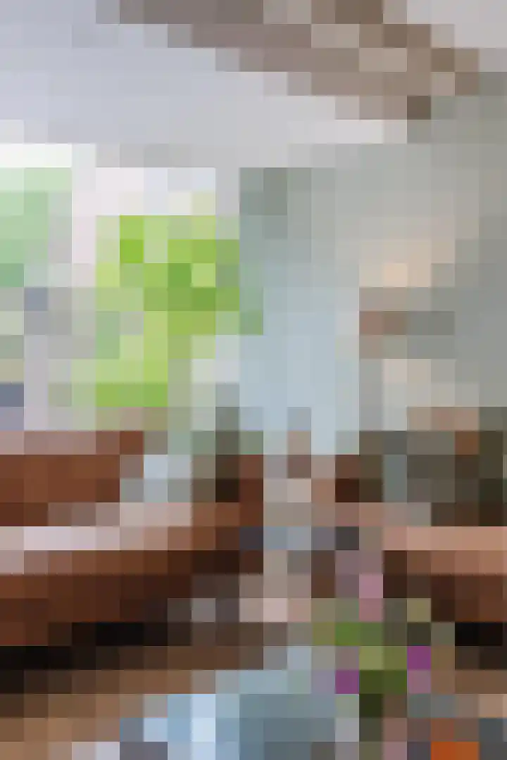 Neerijnen 27 Barneveld thumbnail 20