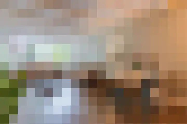 Neerijnen 27 Barneveld thumbnail 23