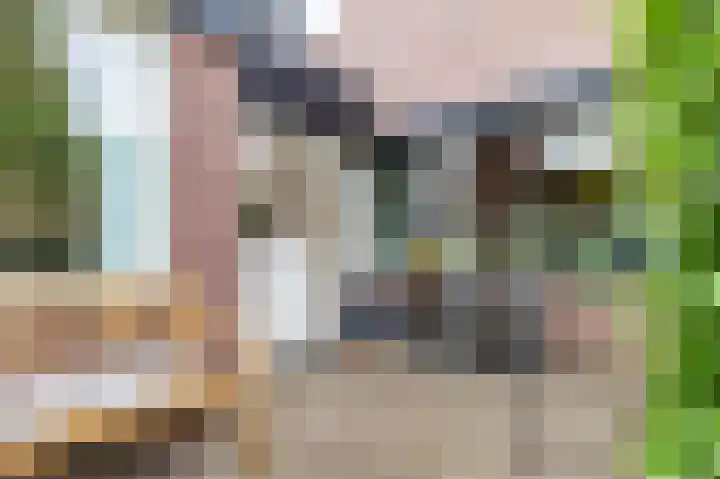 Neerijnen 27 Barneveld thumbnail 5